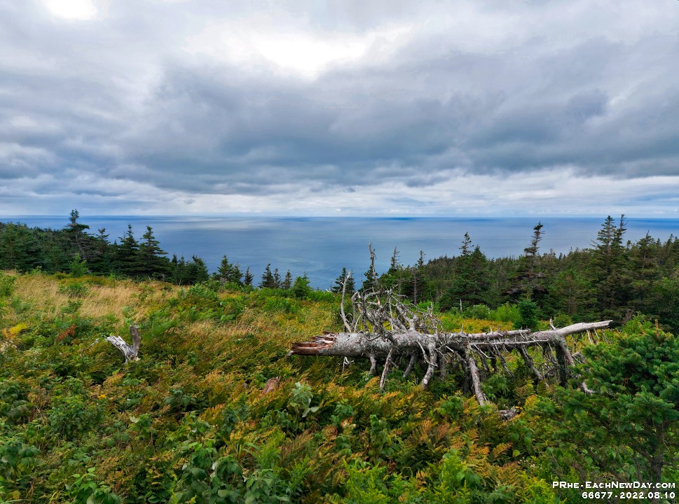 66677RoCrLe - At last! We hike the Skyline Trail, Cape Breton Highlands National Park, NS